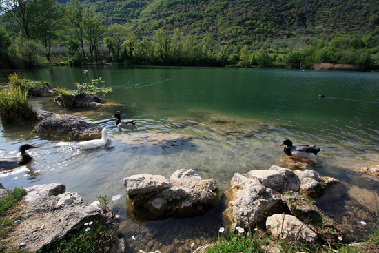 Laghi....del LAZIO